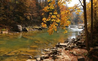 Carpathian Mountains Trip
