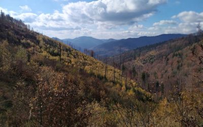 Hiking Trip