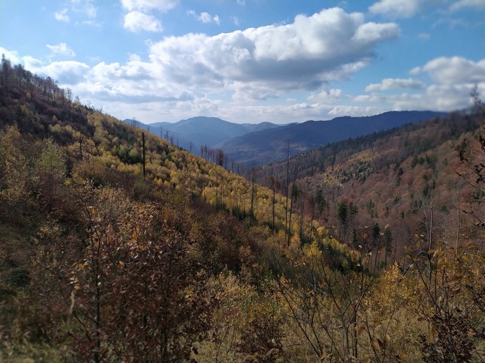 Hiking Trip