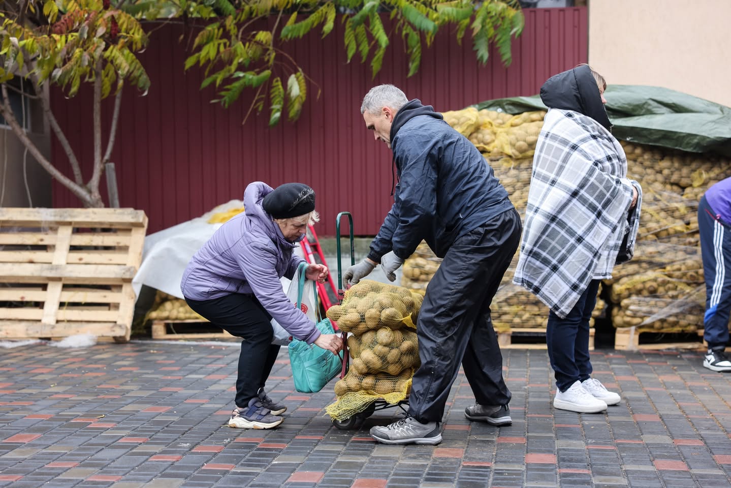 A Couple Volunteers Handling Potatoes